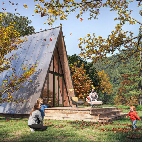 Forest House